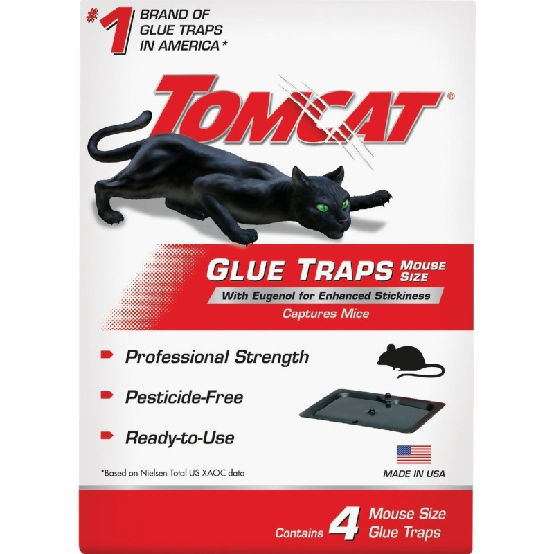 Buy Tomcat 0362310 Mouse Glue Trap (Pack of 12)