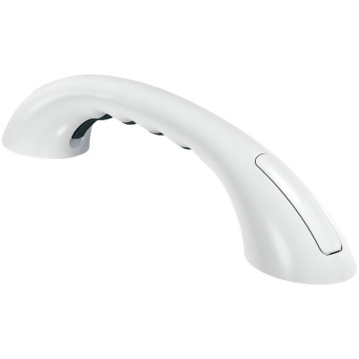 Moen Home Care 9 In. Concealed Screw Grab Bar with Rubber Pad, Glacier LR2250DW 