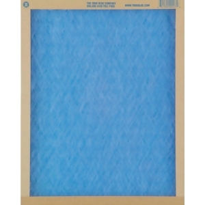 UPC 641590006418 product image for True Blue 18 In. x 30 In. x 1 In. Merv 2 Fiberglass Furnace Filter Pack of 12 -  | upcitemdb.com