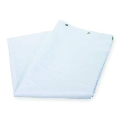 Manufacturer Varies Shower Curtain,72 in L,72 in W,Clear 4EEX7 