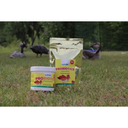 Wonder 200G Concentrate Probiotics PH551 alternate image