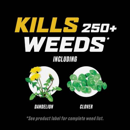 Ortho WeedClear 32 Oz. Ready To Spray Hose End Weed Killer For Lawns 0204910 alternate image