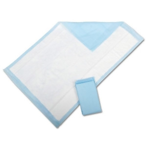 Protection Plus Disposable Underpads Blue Moderate Fluff 24 X 17 300 Each / Case Bulk Pack - All