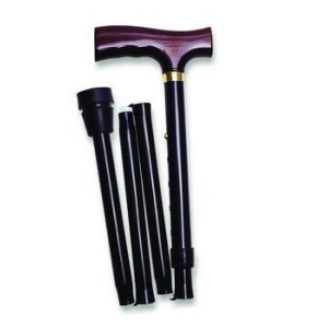 Folding Travel Canes Mauve Floral Fritz Handle 1 Each - All