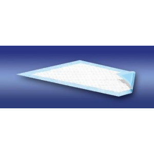 Ez-sorb Light Absorbency Disposable Underpads - All