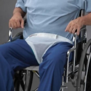 Wheelchair Pelvic Holder - All