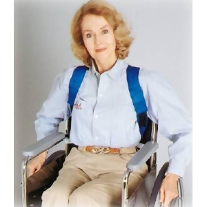 Wheelchair Posture Support - All