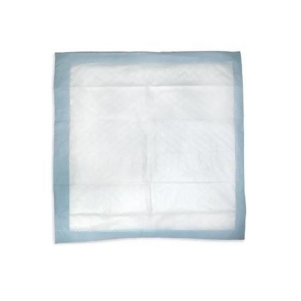 Hospital Specialty Company At Ease Underpad Hs565cs 100 Each / Case - All