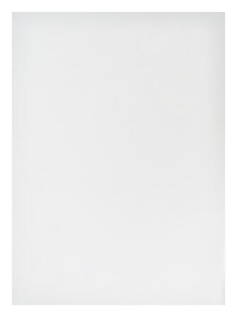Nautica Big Boys School Uniform Performance Polo (L, White) alternate image