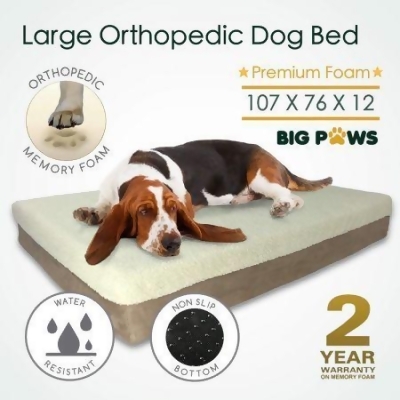 big paws dog bed