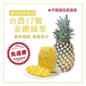 自然農法-台農17號金鑽鳳梨 自然農法-台農17號金鑽鳳梨