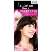 【莉婕】頂級奶霜泡沫染髮劑 【莉婕】頂級奶霜泡沫染髮劑