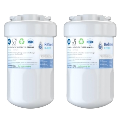 Replacement For GE GSH25JGDDBB Refrigerator Water Filter - by Refresh (2 Pack) 
