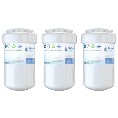 Replacement For GE GSS23HMHBCES Refrigerator Water Filter - by Refresh (3 Pack) 