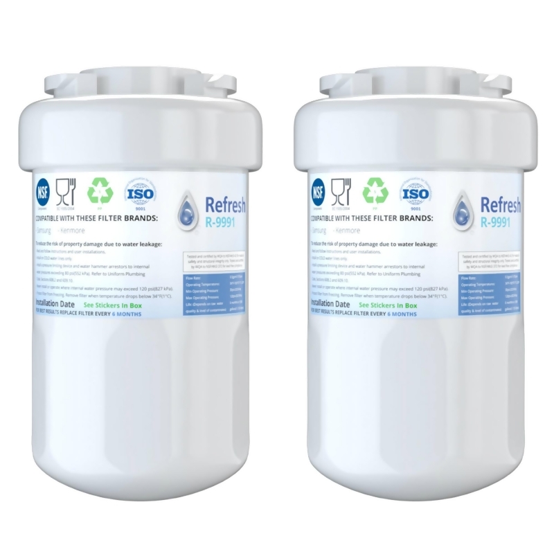 Replacement Filter For GE GSH25JSDBSS Refrigerator Water Filter 2 Pack