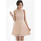 Lace Detail Flare Dress Lace Detail Flare Dress