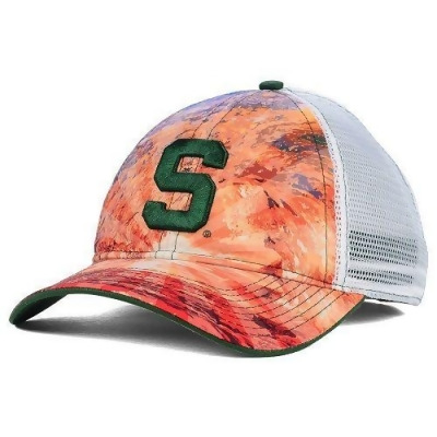 Michigan State Spartans NCAA 
