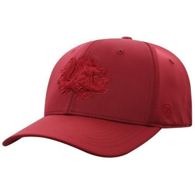 South Carolina Gamecocks NCAA TOW Color Up Stretch Fitted Hat 