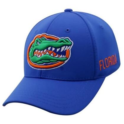 Florida Gators NCAA TOW Choice Memory Fit Hat 