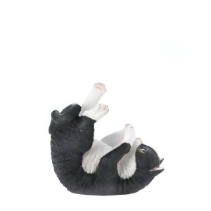 Playful Cat Wine Holder - All