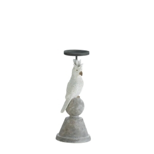 Slender Cockatoo Candle Holder - All