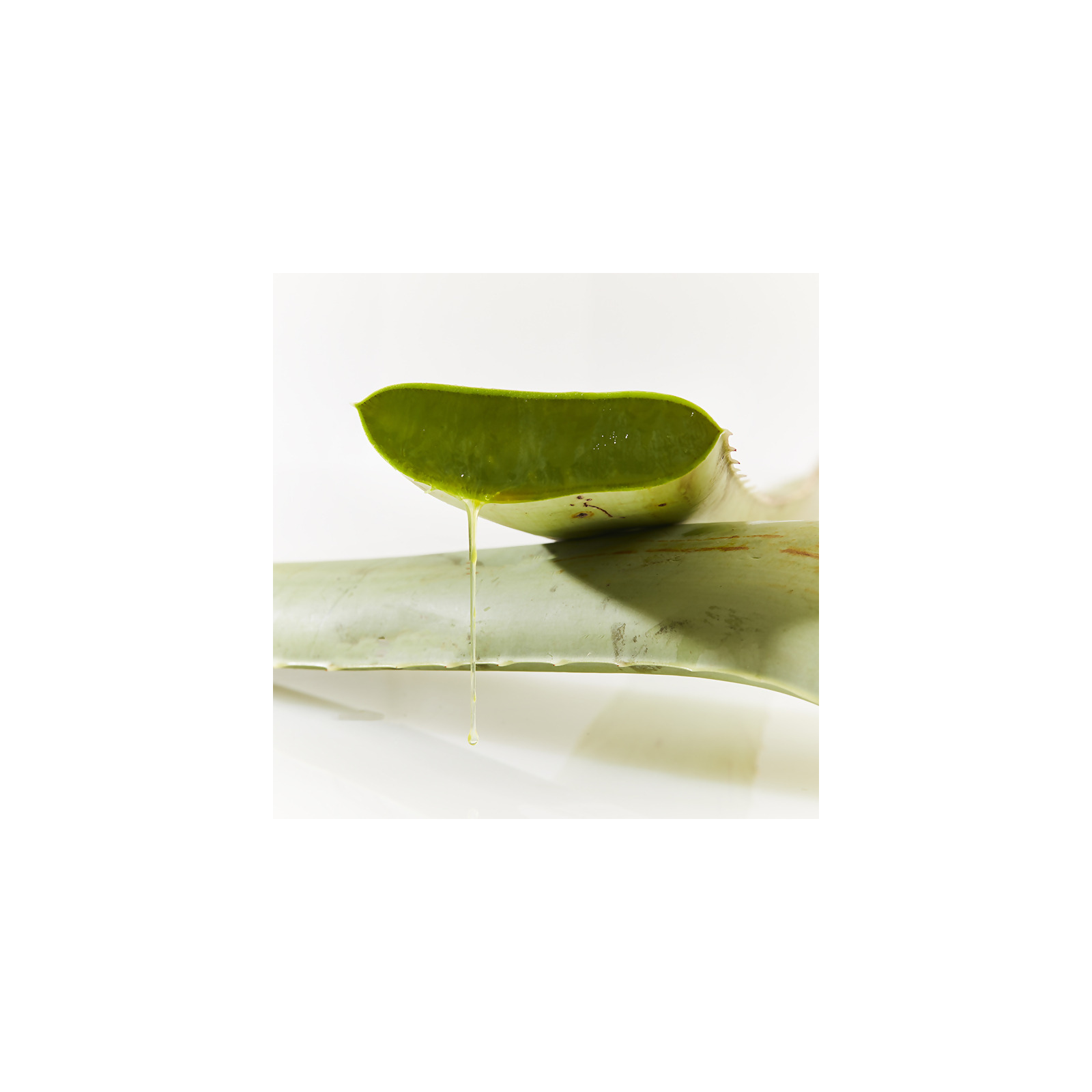 Ultimate Aloe® Powder