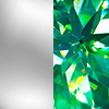 Silver with Green Gem