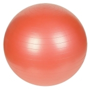 Sunny Health & Fitness 55cm Anti-Burst Gym Ball, Red Sunny Health & Fitness 55cm Anti-Burst Gym Ball, Red