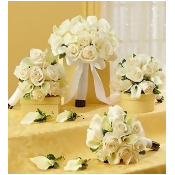 Bridal Bridal