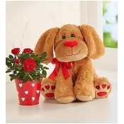 Lovable Lovable