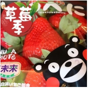 (免運)日本空運【熊本ゆうべに大草莓】2入/箱禮盒/ (免運)日本空運【熊本ゆうべに大草莓】2入/箱禮盒