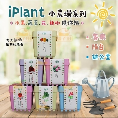 【iPlant】開心積木小農場輕鬆種盆栽系列(每盆加贈同款種子一包)(3 盆) 