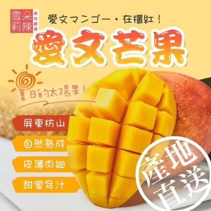 【雪莉朵辣嚴選】屏東枋山愛文芒果5斤裝(大果/小果) 檨仔 夏季水果 箱購水果(4 箱)