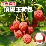 大樹去枝玉荷包荔枝禮盒 大樹去枝玉荷包荔枝禮盒