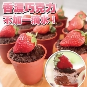 手作草莓盆栽提拉米蘇,消費加碼1%好吃市集集集點回饋/ 手作草莓盆栽提拉米蘇,消費加碼1%好吃市集集集點回饋
