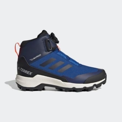 terrex winter mid boa hiking shoes