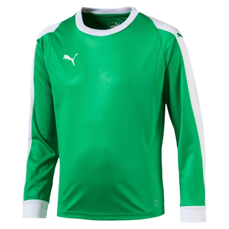 puma goalkeeper jersey 2018