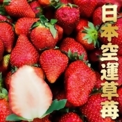 夢幻商品~日本空運大顆草莓/ 夢幻商品~日本空運大顆草莓