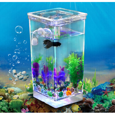 魚缸 現貨 自動換水懶人魚缸 水族魚缸(不含燈) 