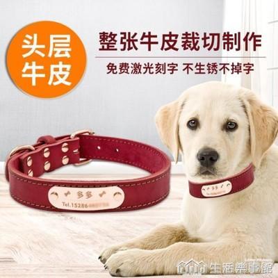 真皮寵物項圈狗狗頸圈牛皮質狗牌定制刻字防丟金毛中大型犬脖圈from 松果購物at Shop Com Tw 真皮寵物項圈狗狗頸圈牛皮質狗牌定制刻字防丟金毛中大型犬脖圈from 松果購物at Shop Com Tw