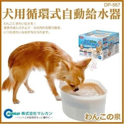 Dp 567日本marukan 循環式自動給水器 犬用from 松果購物at Shop Com Tw Dp 567日本marukan 循環式自動給水器 犬用from 松果購物at Shop Com Tw