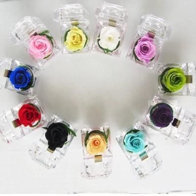 永生花戒子壓克力盒造型 婚禮小物 5入 From 松果購物at Shop Com Tw