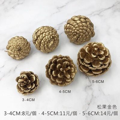 Beagle 乾燥花松果單顆松塔素材不凋花乾燥花束花藝設計婚禮佈置攝影佈景from 松果購物at Shop Com Tw