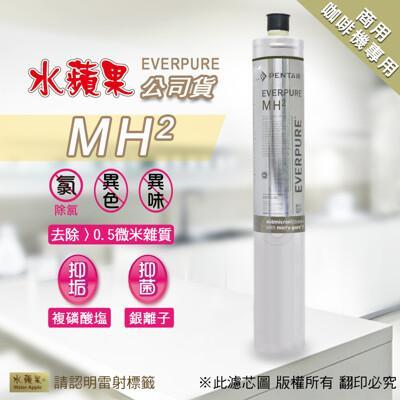 水蘋果公司貨everpure mh2 淨水濾心(商用型) 