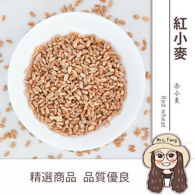 日生元紅小麥 600g 雜糧米 小麥 小麥草 鸚鵡 倉鼠 飼料 