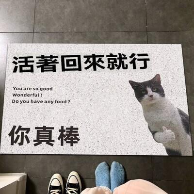 搞怪搞笑絲圈地墊 活著回來就行 你真棒 大門地墊 穿鞋腳踏墊 入戶墊 文字防滑地墊 玄關地墊 