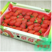 【季節限定】大湖草莓450g±10%(1盒)/ 【季節限定】大湖草莓450g±10%(1盒)