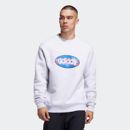 adidas skateboarding sweatshirt