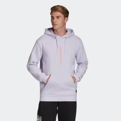 adidas lifestyle hoodie