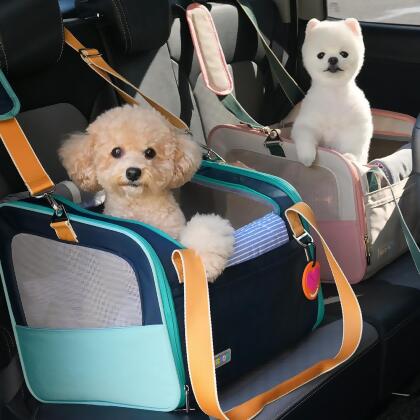 ParisDog 天天寬敞寵物汽車安全座椅 